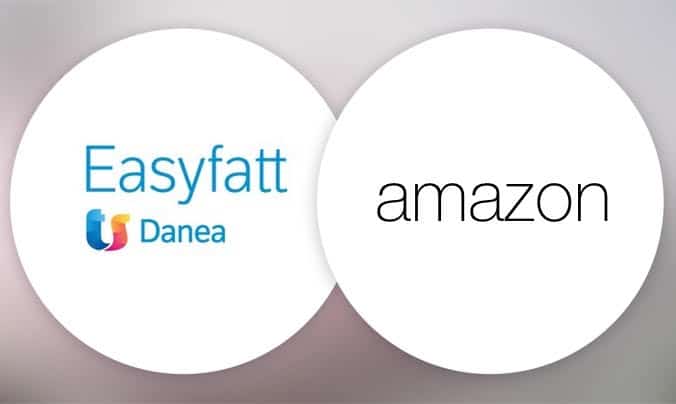 logo easyfatt e scritta amazon - progetto di integrazione e sviluppo batch